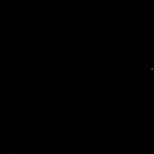 Meet your Posher, Annette